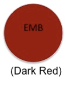 <p>Selective, differential</p><p>Selective: Eosin & methylene blue RESTRICT gram POSTIVE</p><p>Differential: Lactose; </p><p> Non-ferm → white/tan colonies; lactose-ferm → dark (purple to black) colonies</p><p> E. coli has metallic green sheen (a LOT of acid)</p>