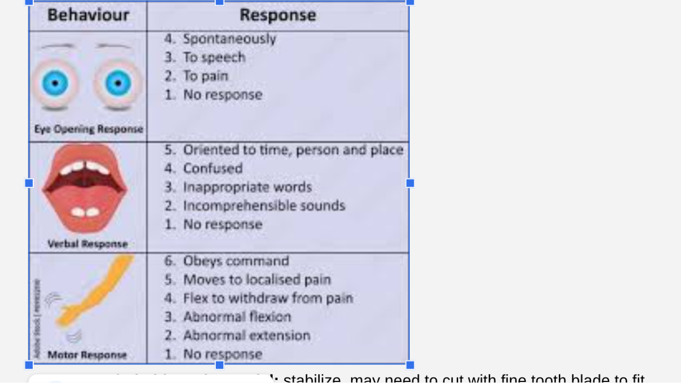 knowt flashcard image