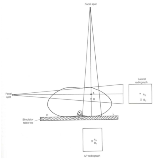<p>Orthogonal Films </p>