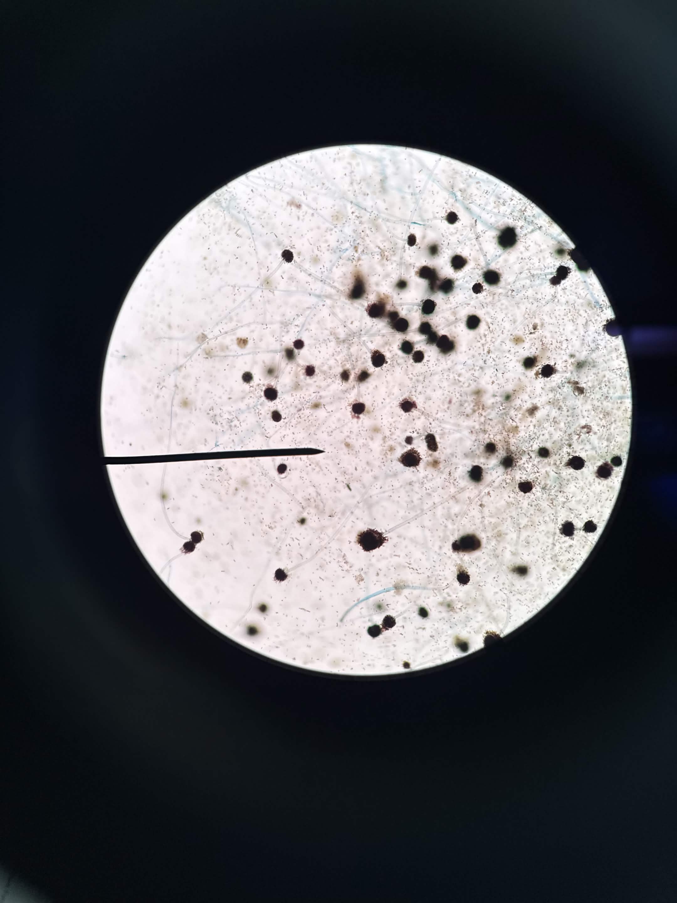<p>What is this?</p>