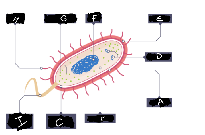 <p>what is a and what does it do?</p>