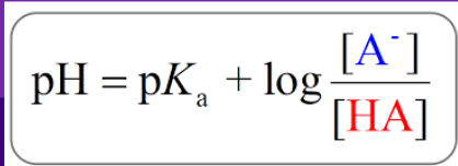<ul><li><p>NEED TO HAVE A BUFFER TO USE THIS EQUATION (use pH= -log[H], etc.)</p></li><li><p>Captures the buffer region</p></li></ul><p></p>
