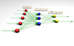 <p>Interconnected neurons form networks in the brain. These networks are complex and modify with growth and experience.</p>
