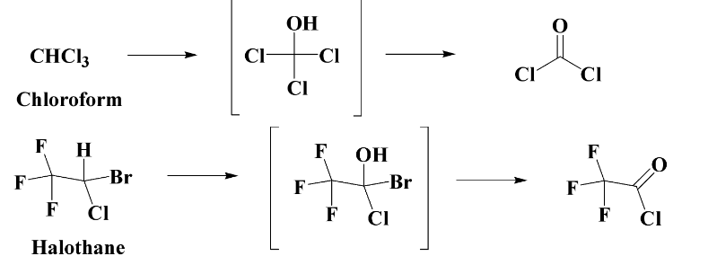 <p>What happens during Oxidative dehalogenation?</p>