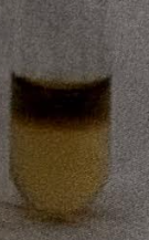 <p>Negative VP result </p>