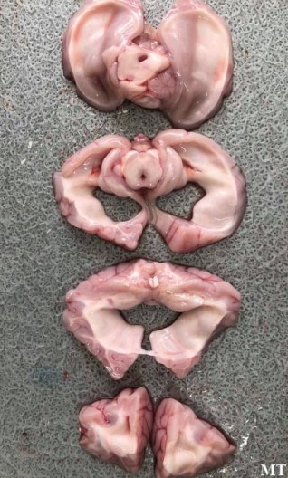 <p></p>