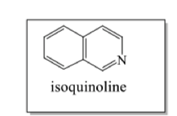 <p>where do benzyl isoquinoline alkaloids come from?</p>