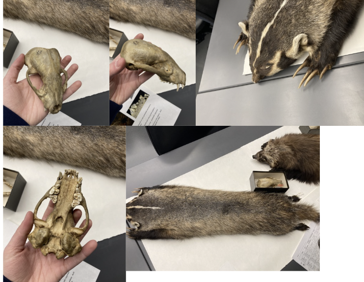 <p>What is this?</p>