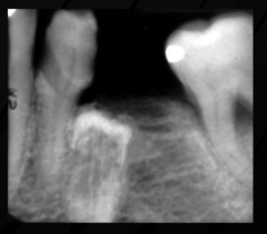 <p>What is this an example of?</p>