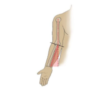 <p>What is a Carrying Angle?</p>