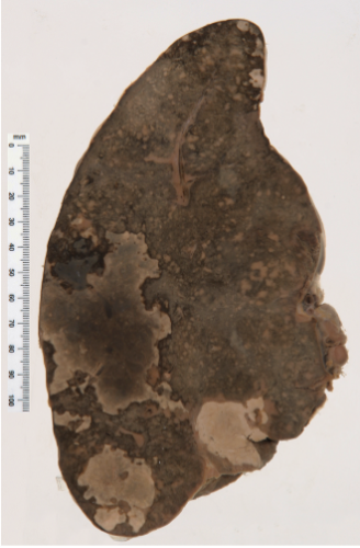 <p>Identify the POT</p>