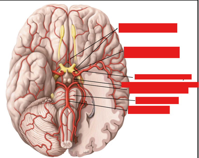 <p>Label this diagram</p>