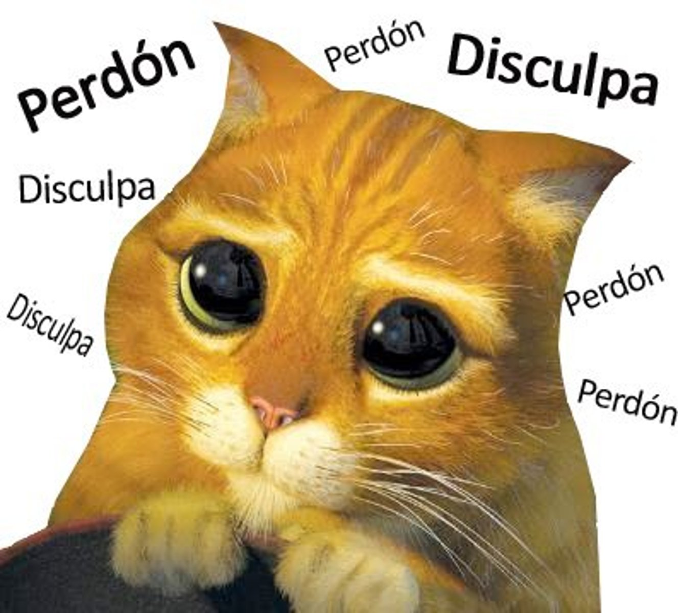 <p>извиняться</p>
