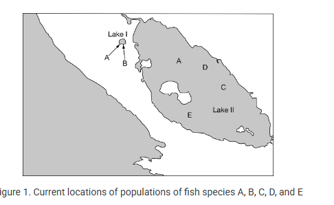 <p>Researchers were modeling the effects of repeated cycles of isolation with occasional interbreeding among five hypothetical fish species (species A, B, C, D, and E) found in two separate lakes (lakes I and II) that are occasionally joined by flooding, as shown in Figure 1. The research team indicated that species A would be considered to be the single common ancestor of species B, C, D, and E.</p><p>Which of the following mechanisms could most likely account for the origin of species B in Lake I?</p><p><strong>A) </strong>Allopatric speciation</p><p><strong>B) </strong>Directional selection</p><p><strong>C) </strong>Stabilizing selection</p><p><strong>D)S</strong>ympatric speciation<br></p>