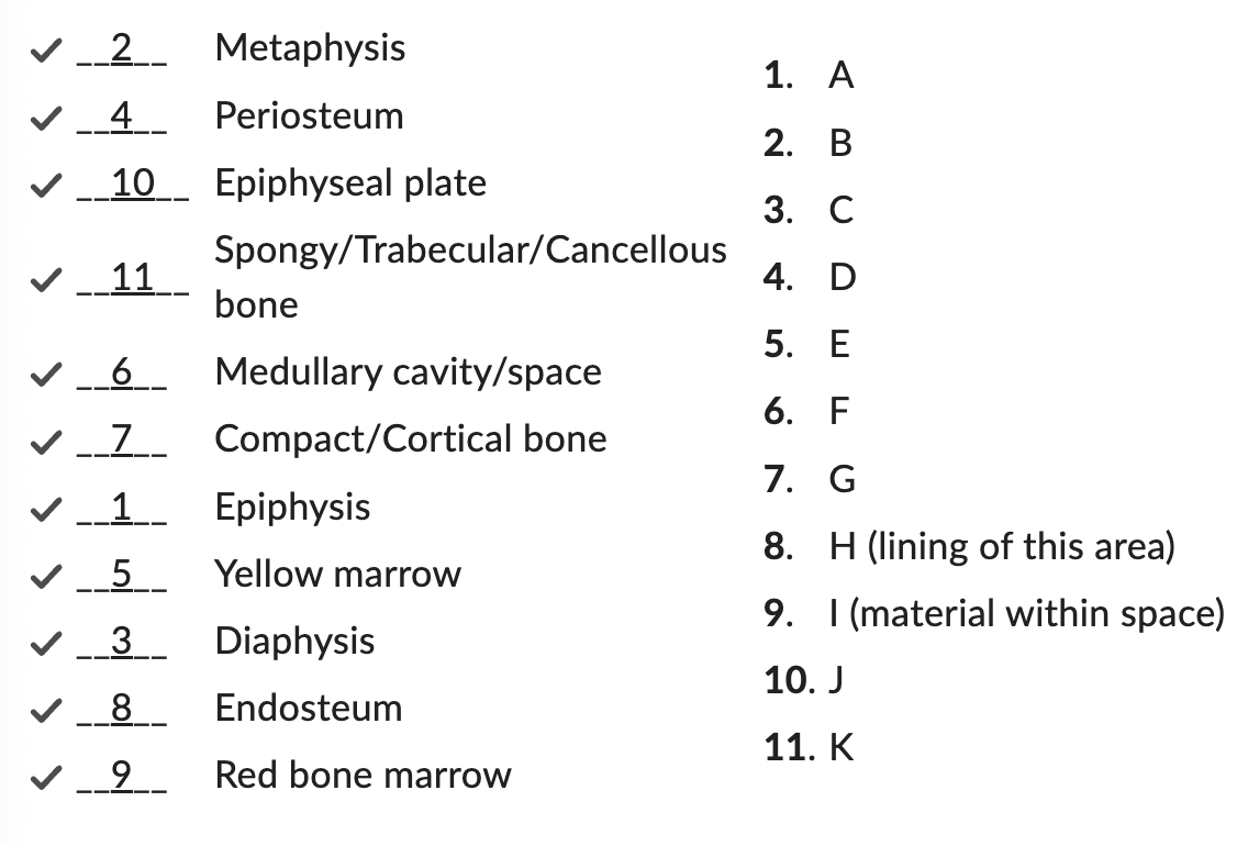 <p></p><p>Assignment 1</p>