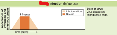 <p>Sudden onset of symptoms; comes and goes; relatively short duration; results in burst of virions released from infected cells</p>