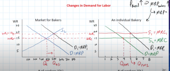 <p>If the price of bread increases, the market demand for labor is going to </p>