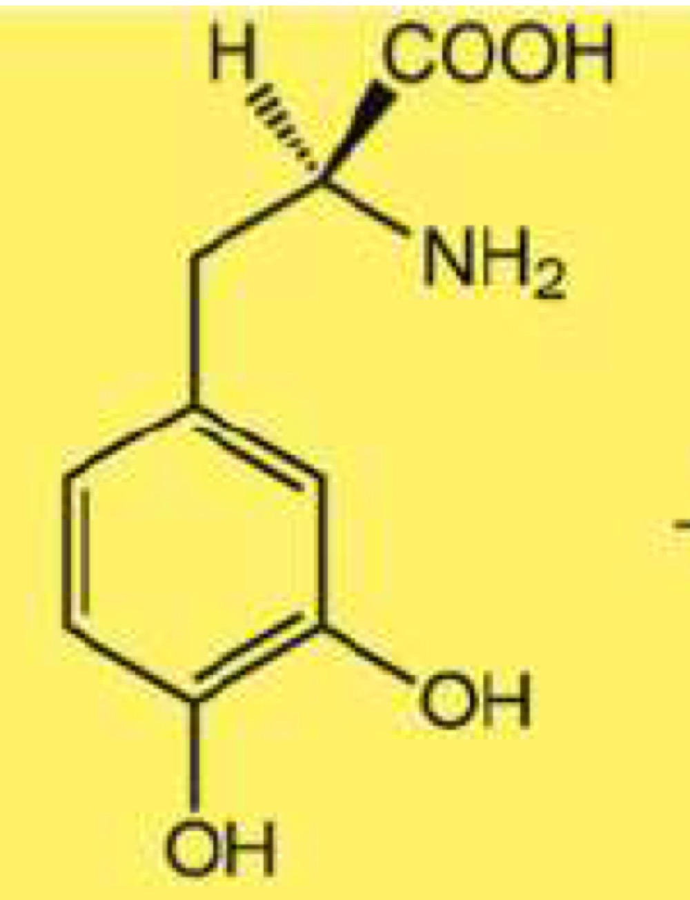<p>Riconosci molecola</p>