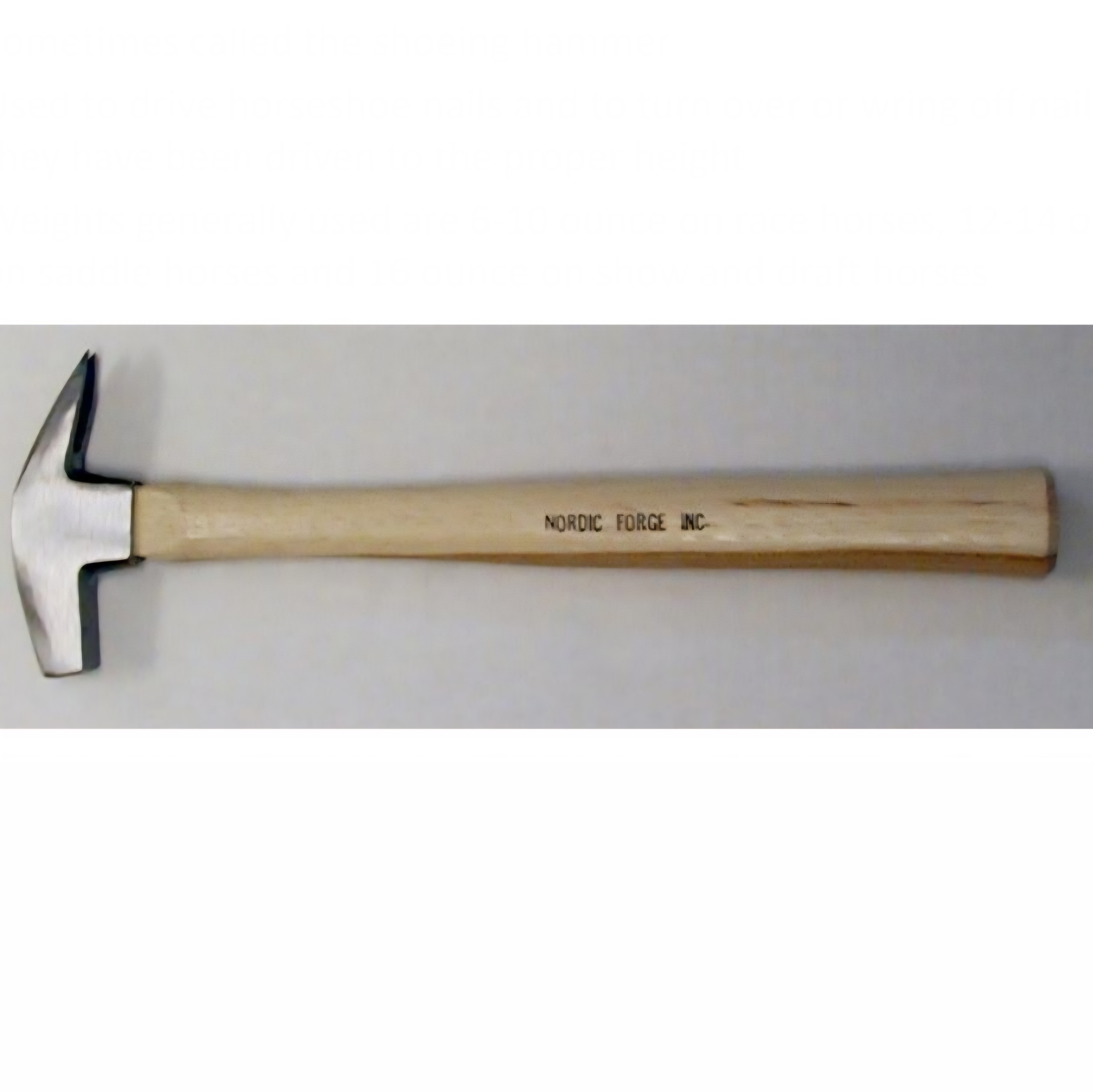 <p>driving hammer or shoeing hammer (2/2)</p>