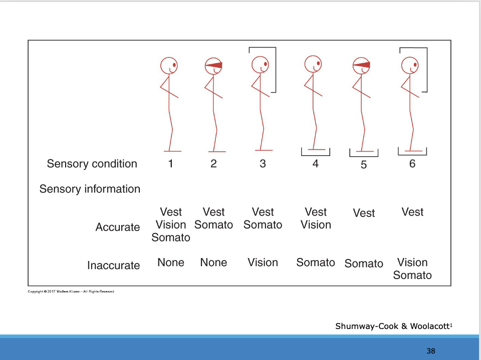 <p><span>KNOW THIS SLIDE IT IS IMPORTANT</span></p><p style="text-align: left;"><span>Dome for CTSB is condition 3 and 6</span></p><p style="text-align: left;"><span>Normally do do modified which gets rid of 3 and 6</span></p>