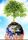 <p>environment</p>