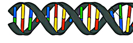 <p>What is this?</p>