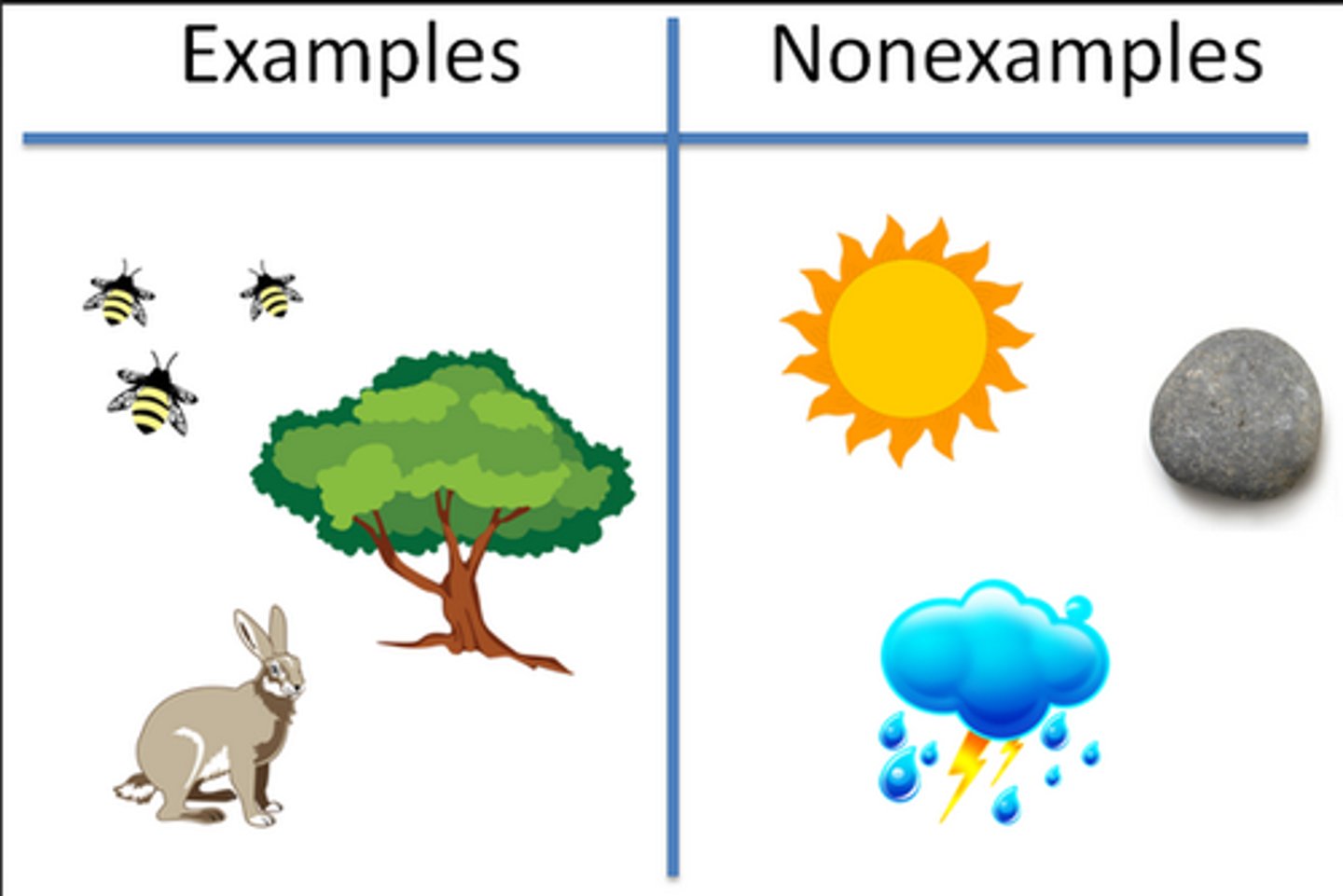 <p>any living factor in an organism's environment</p><p>ex: producers, consumers, decomposers</p>