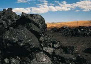 <p>is an organic sedimentary rock formed from the accumulation and preservation of plant materials.</p>