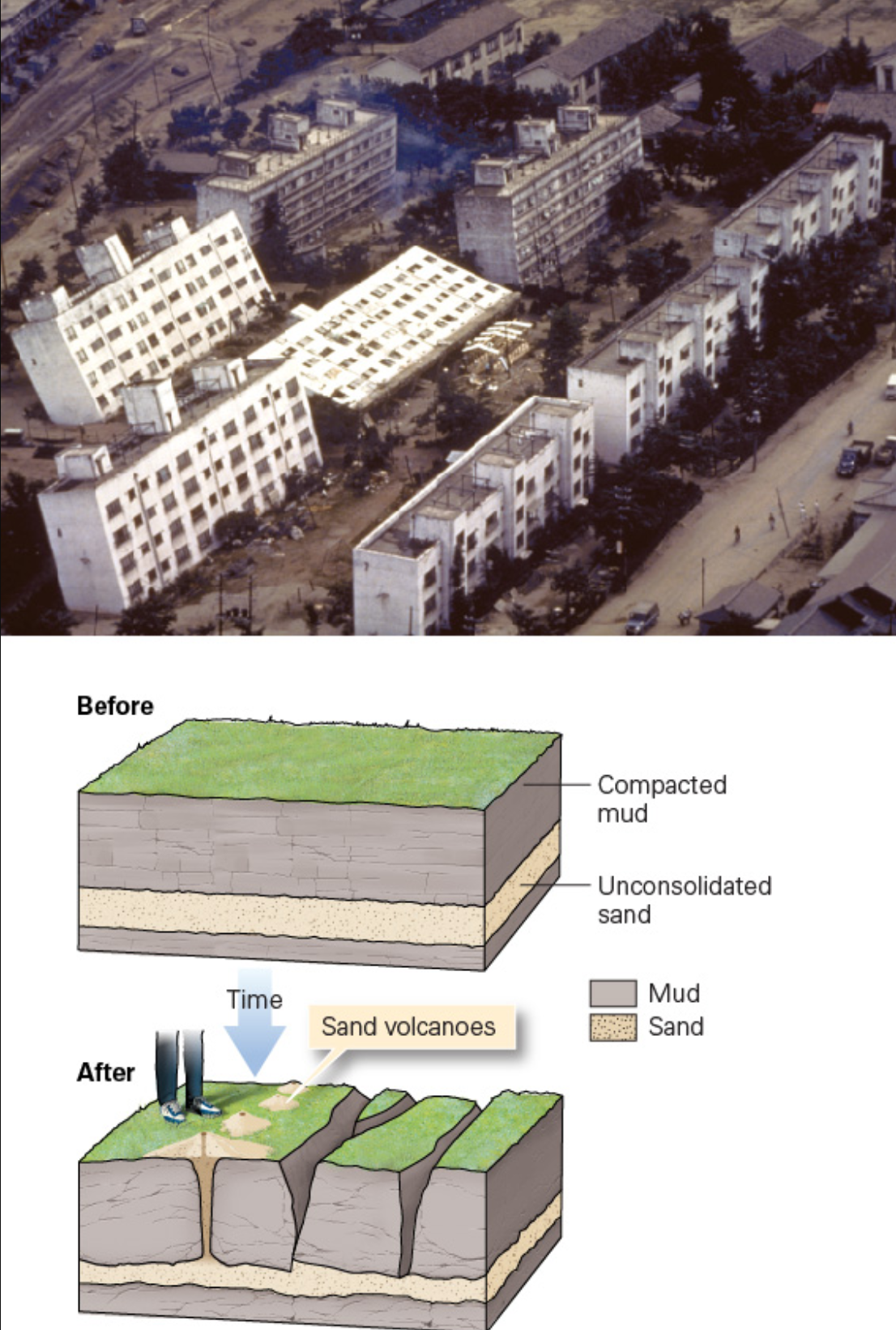 <p><span>In addition to ground shaking, several peripheral hazards occasionally accompany earthquakes. In the top photo, the foundations of several large buildings sank into soft, soupy sediments. In the figure, a sinkhole full of wet sand opened up in a roadway. Which earthquake-related hazard caused these events?</span></p>
