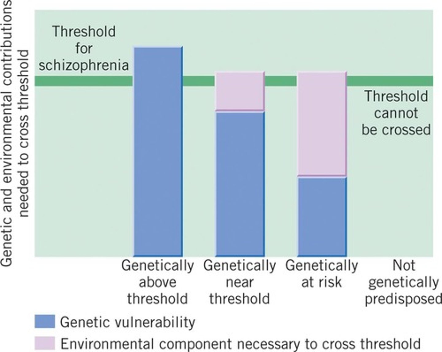 <p>They show a 50% chance of developing schizophrenia if one has an identical twin with the condition, indicating a genetic component.</p>