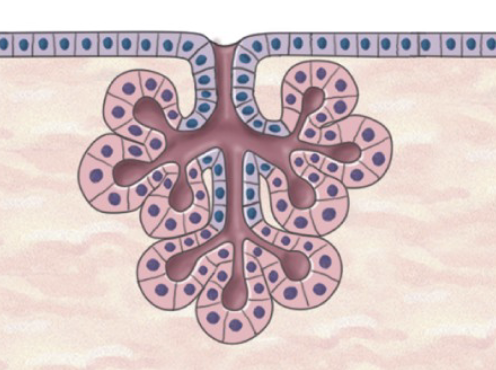 <p>What is this?</p>
