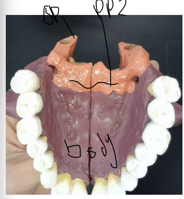 <p>what is this? </p>