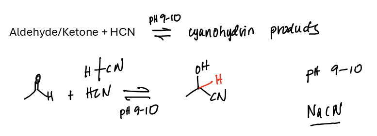 <ul><li><p><span style="background-color: transparent;">Aldehyde / Ketone + HCN = add -C—N &amp; -H to the central carbon</span></p></li></ul><p></p>
