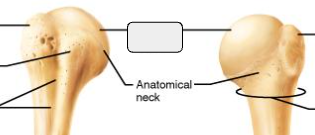 <p>What marking?</p>