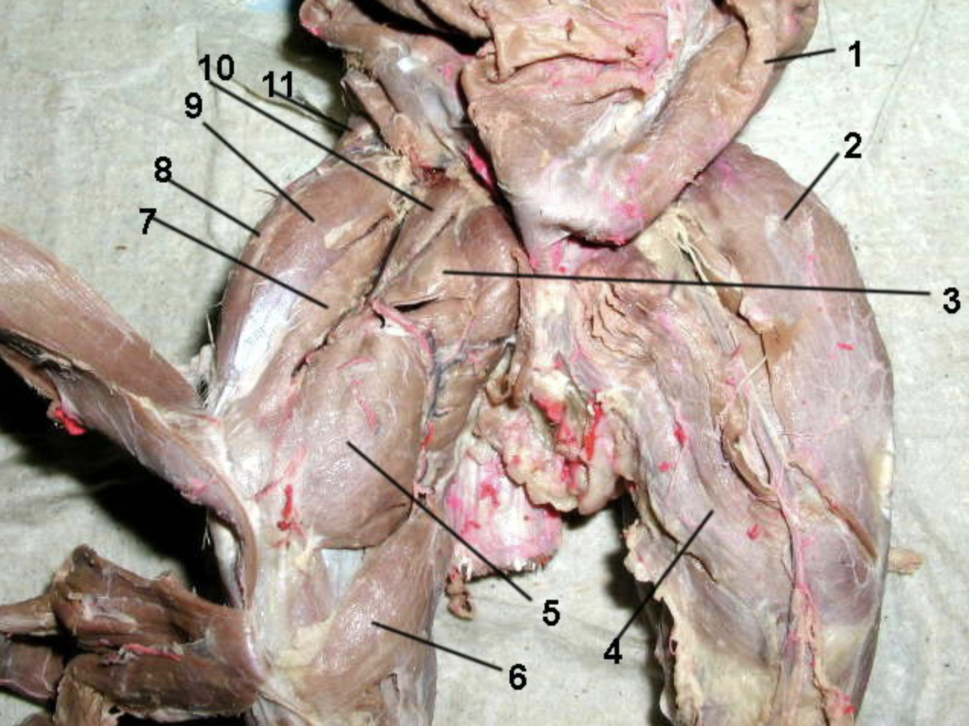 <p>4</p>