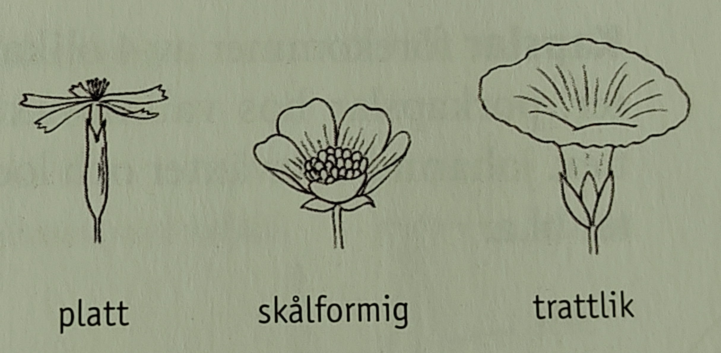 <p></p>