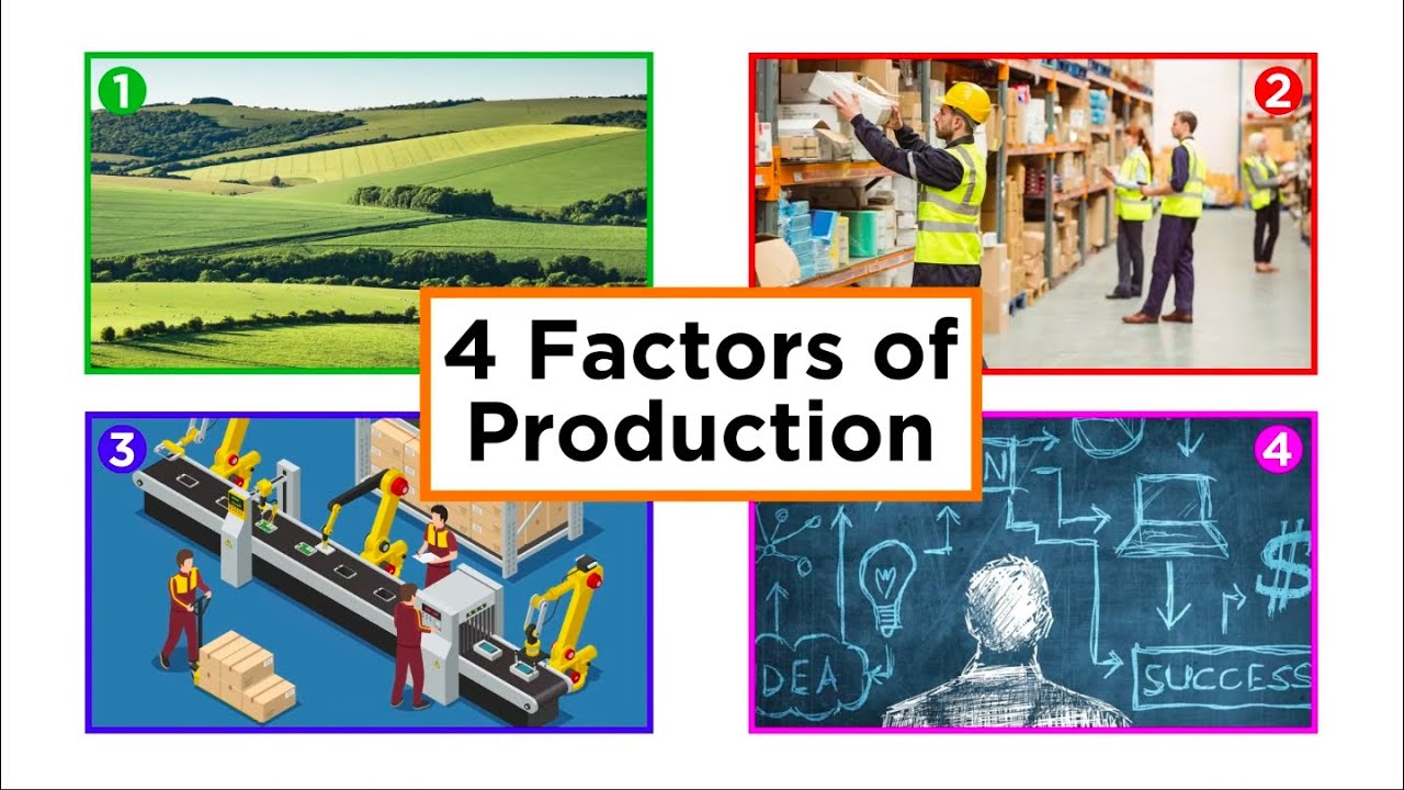 <p>the four economic resources: <em>land, labor, capital, and entrepreneurial ability</em></p><ul><li><p>economic resources</p></li><li><p>circular flow diagram</p></li></ul><p></p>
