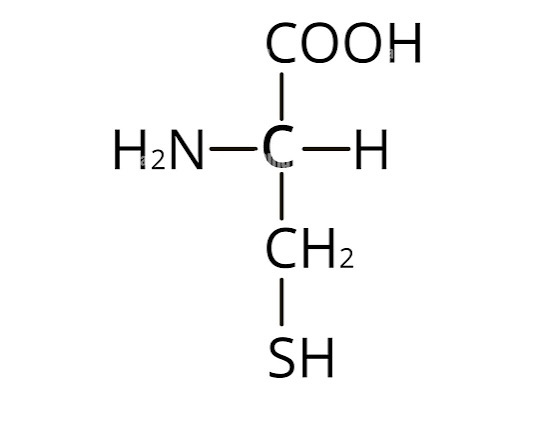 <p>name the following amino acid</p>