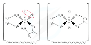 <p>what is cis isomer and trans isomer in TM compelxes</p>