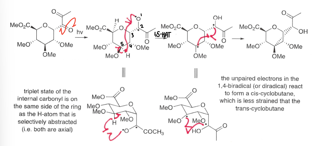 <p>The carbonyl is excited to the triplet state radical, this then reacts with the hydrogen in the 5 position forming an OH bond.</p><p>Further reaction of the two radicals forms the end product.</p>