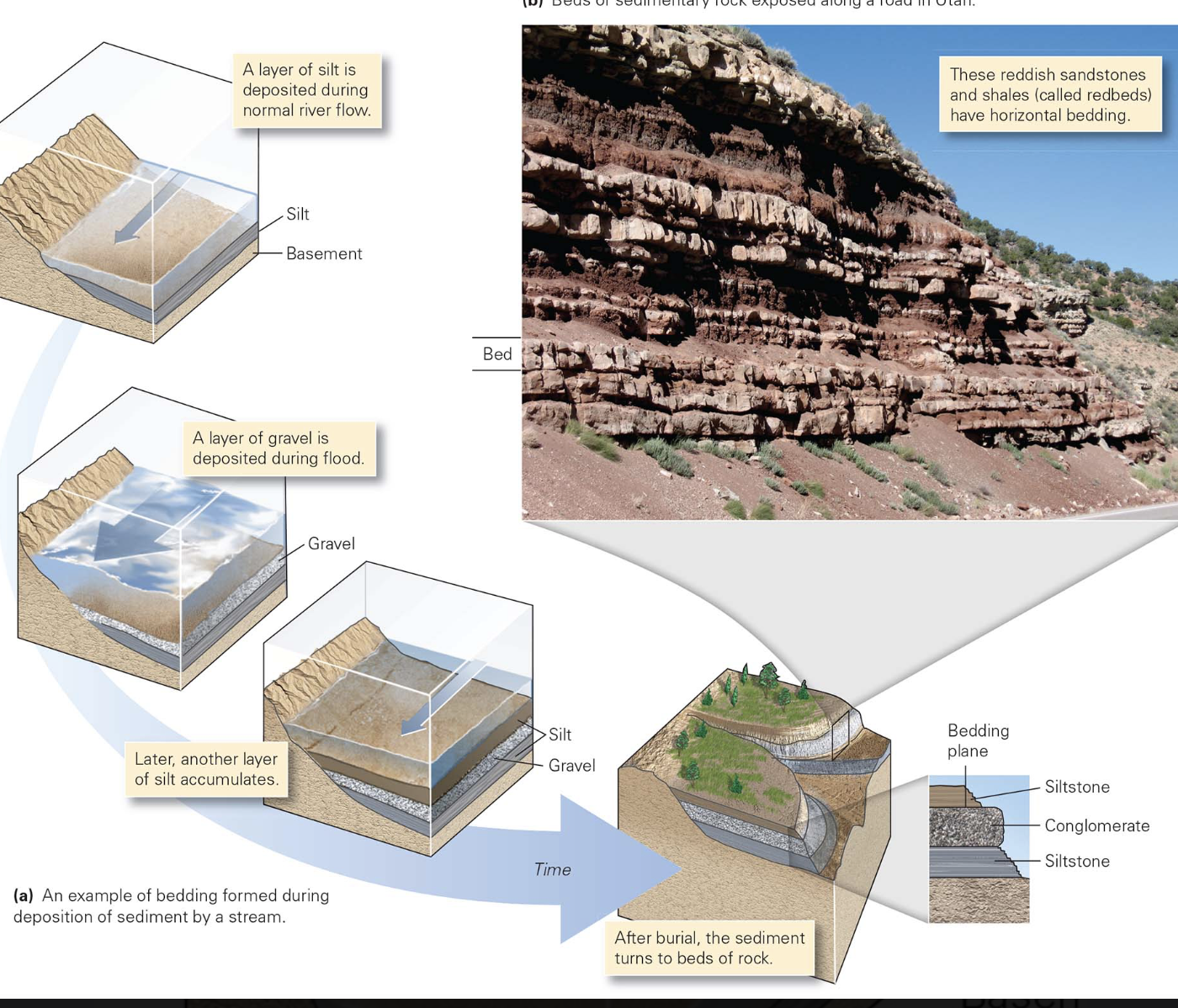 <p>think about how sediment accumulates in which changes in the climate, water depth, current velocity, or the sediment source control the type of sediment deposited at a location at a given time</p><ul><li><p>Ex → if sea level rises, and water submerges an area in which desert sand had been accumulating, layers of carbonate shells may be deposited over layers of sand when lithified</p><ul><li><p>sand layers become beds of sandstone</p></li><li><p>shell layers become beds of limestone</p></li></ul></li></ul><p></p>