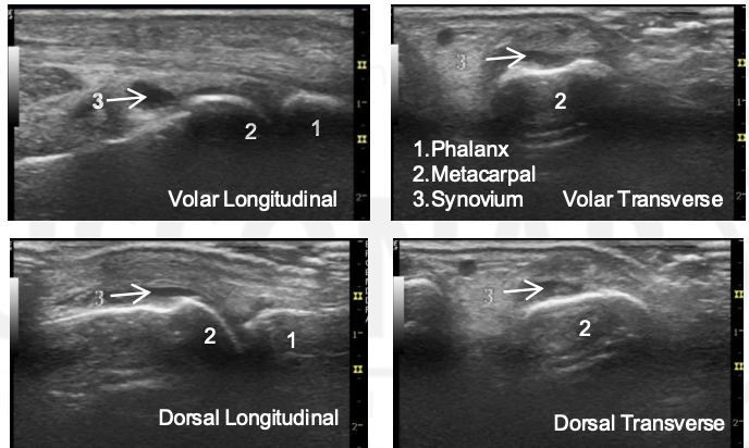 <p>What is the arrow pointing to? </p>
