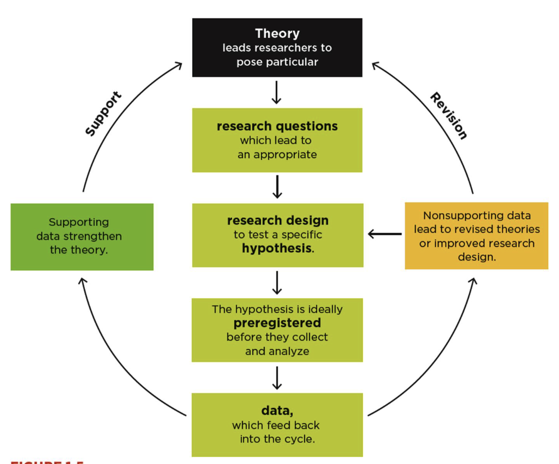 <p>Theories lead researchers to pose <strong>research questions</strong>, then creating a research designed around a <strong>hypothesis</strong></p><p><strong>Data</strong> gives feedback on the theory, leading to support/revision.</p>
