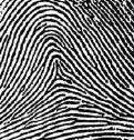 <p>what type of fingerprint is this?</p>
