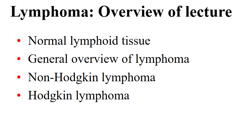 <p>Lymphoma: Overview of Lecture</p>