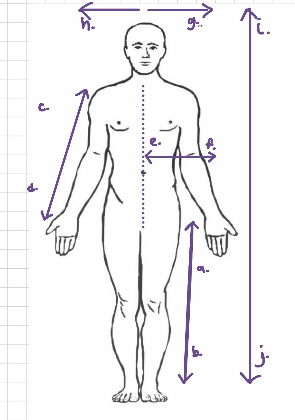 <p>What anatomical position is h?</p>