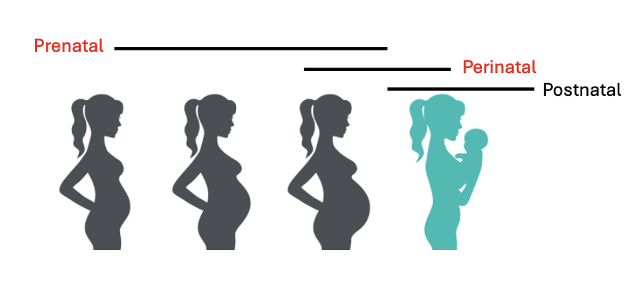 <ul><li><p>Events are not always planned and may be random/accidental (e.g. illness, stress, injury)</p></li><li><p>you get some traits before you were born</p></li></ul><p></p>