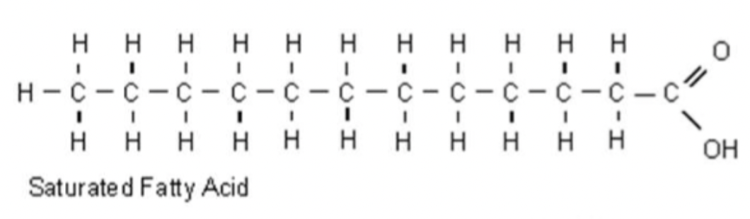 <ul><li><p>no C=C double bonds</p></li><li><p>saturated with hydrogen</p></li><li><p>straight chained</p></li><li><p>can be tightly packed - high melting point</p></li></ul><p></p>
