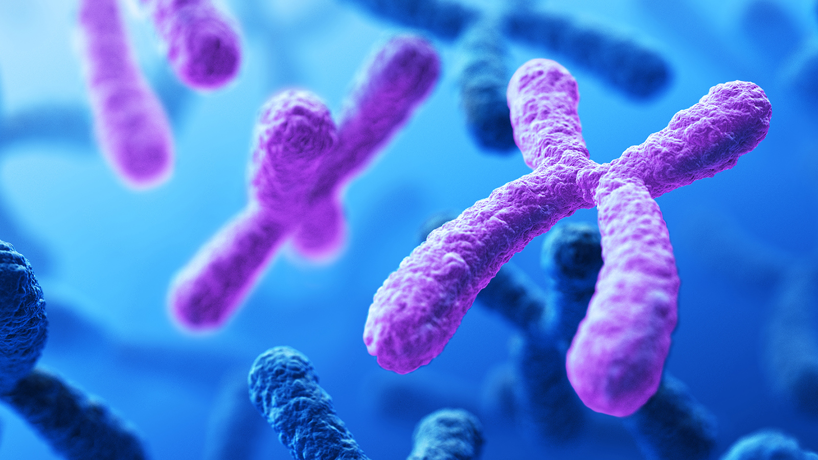 <p>The study of heredity and variation; explores how traits are passed from parents to offspring and how changes in genetic information influence health and disease.</p>
