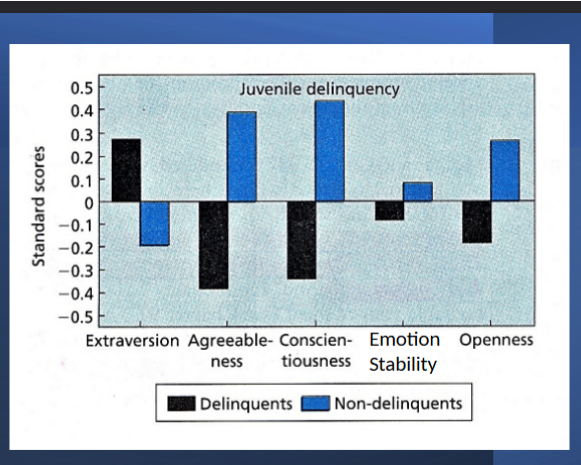 <ul><li><p>delinquents were high on extraversion compared to non-delinquents </p></li><li><p>non-delinquents on everything except extraversion compared to delinquents </p></li></ul><p></p>